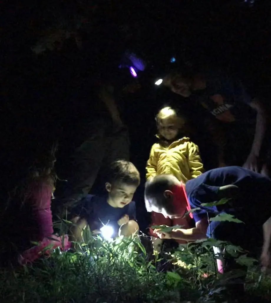 Family Night Hike 3