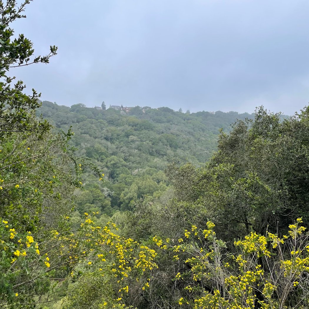 Leona Canyon Trail Head 2