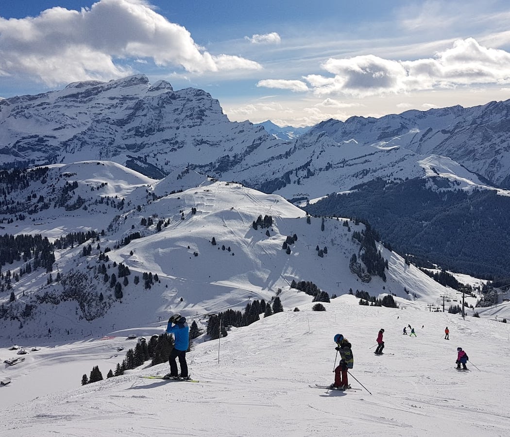 Télé-Villars-Gryon-Diablerets SA (TVGD) 1