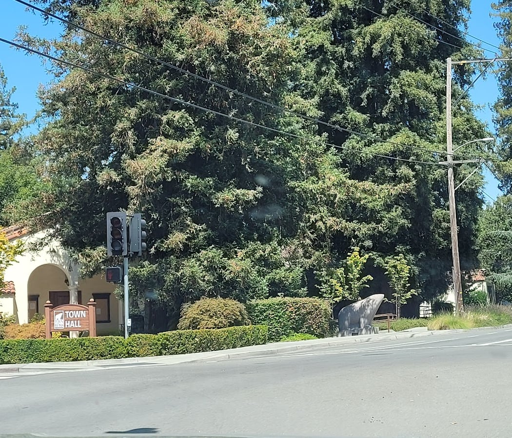 Ross Town Hall 2
