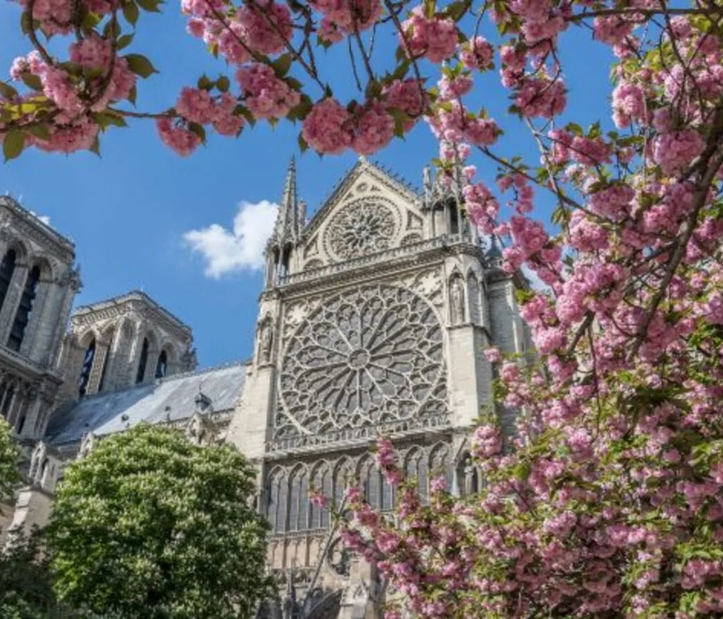 Réouverture de Notre-Dame de Paris 2