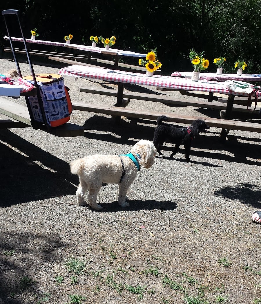 Padre Picnic Area 2