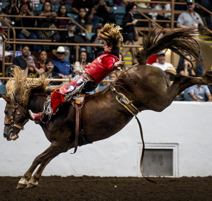 New Mexico State Fair 2026 2