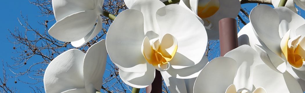 Isa Genzken: Two Orchids 1