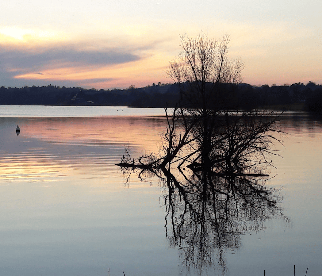 Parc De Loisirs Lac De Maine 1