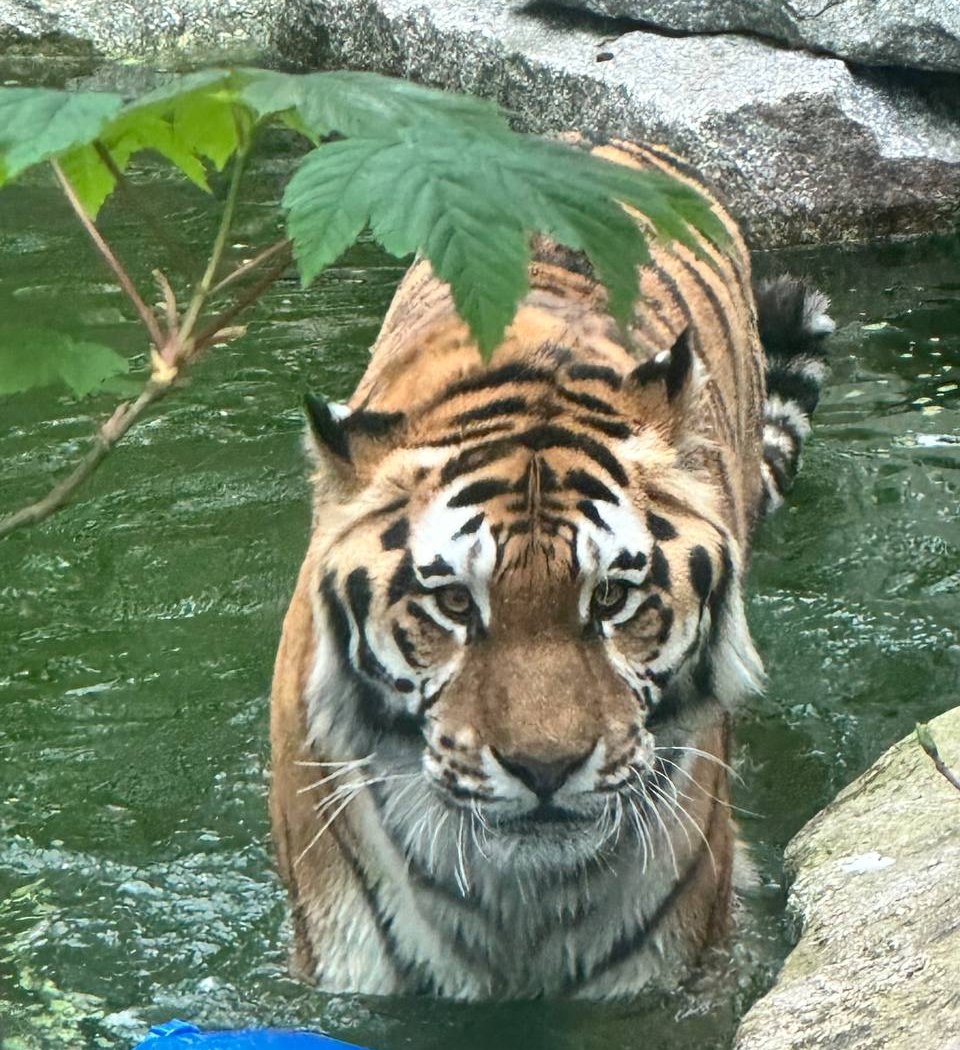 Parc Zoologique et Botanique de Mulhouse 1