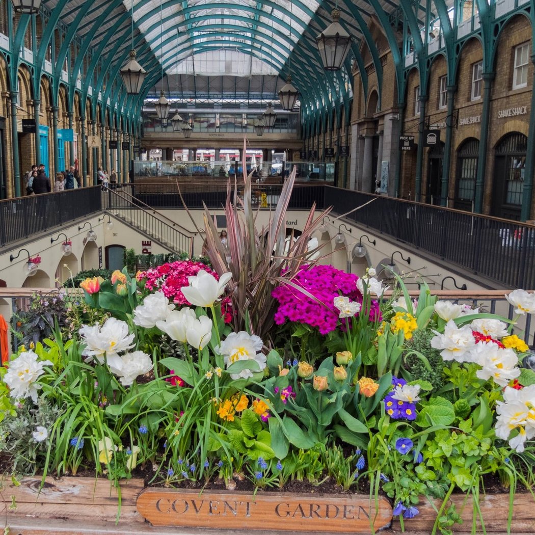 Covent Garden 1