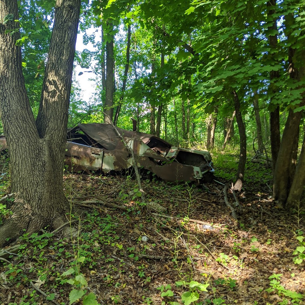 Todt Hill-Staten Island High Point 1