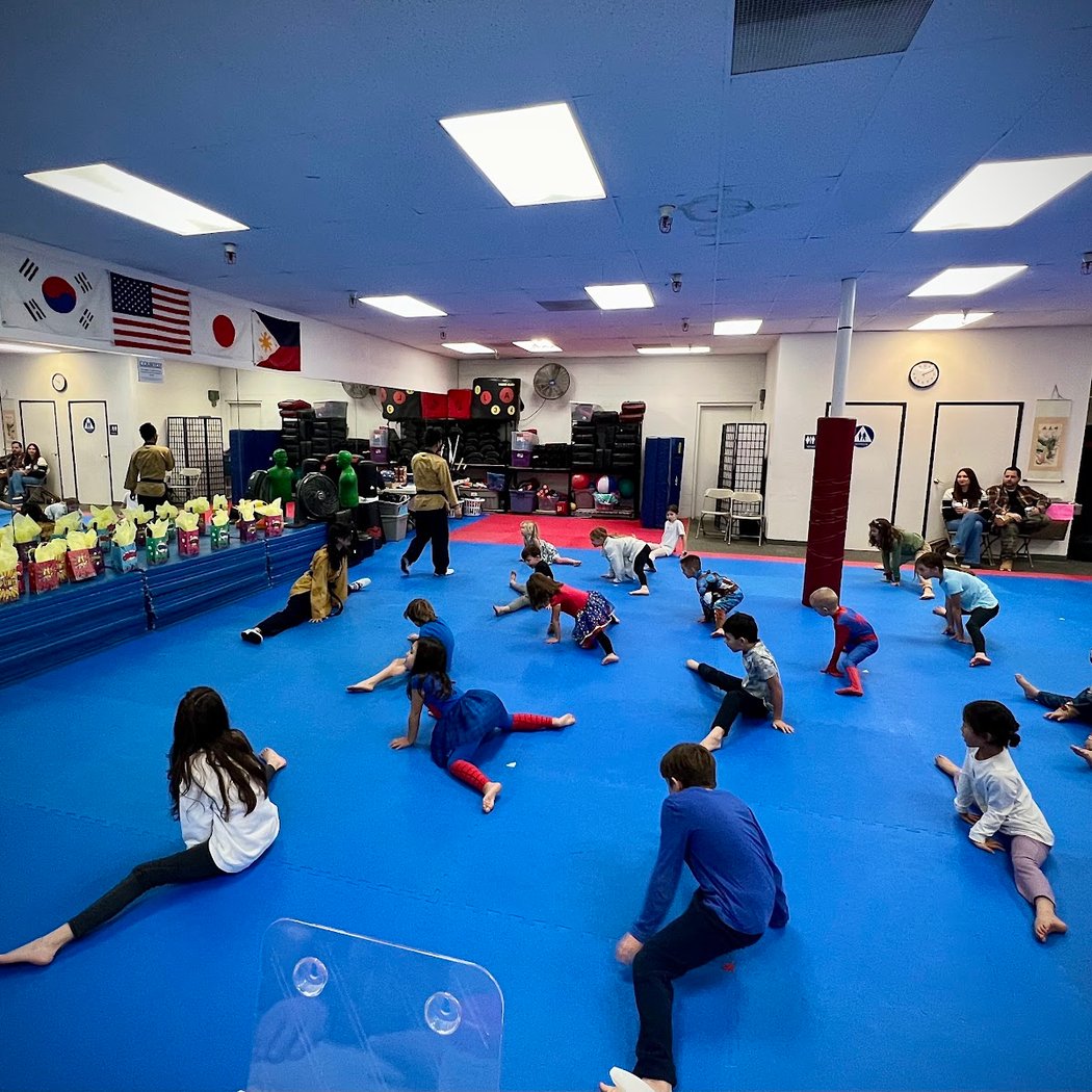 Martial Arts America 1