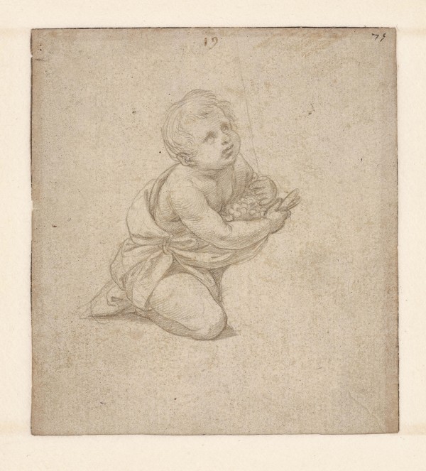 Naissance et Renaissance du dessin italien 1