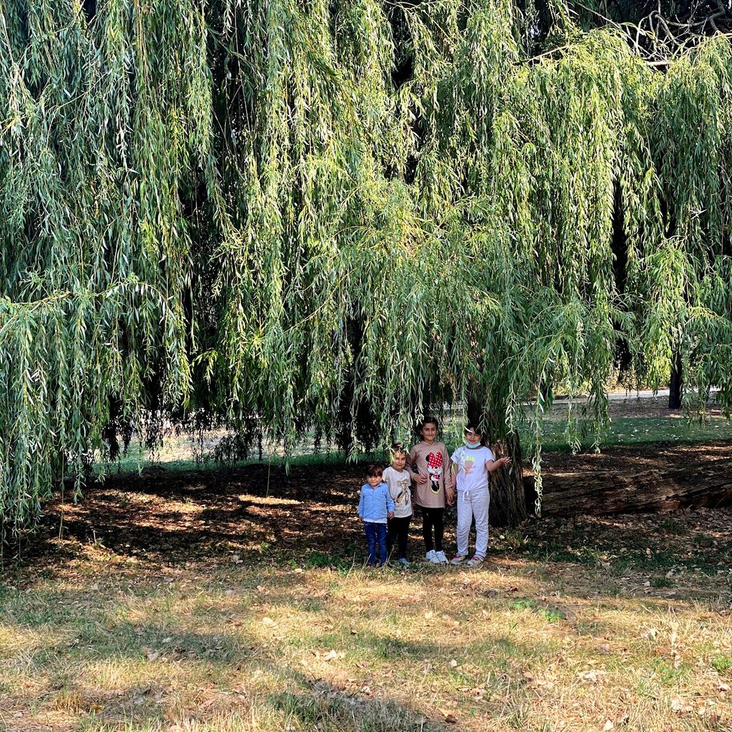Parc Bellevue 3