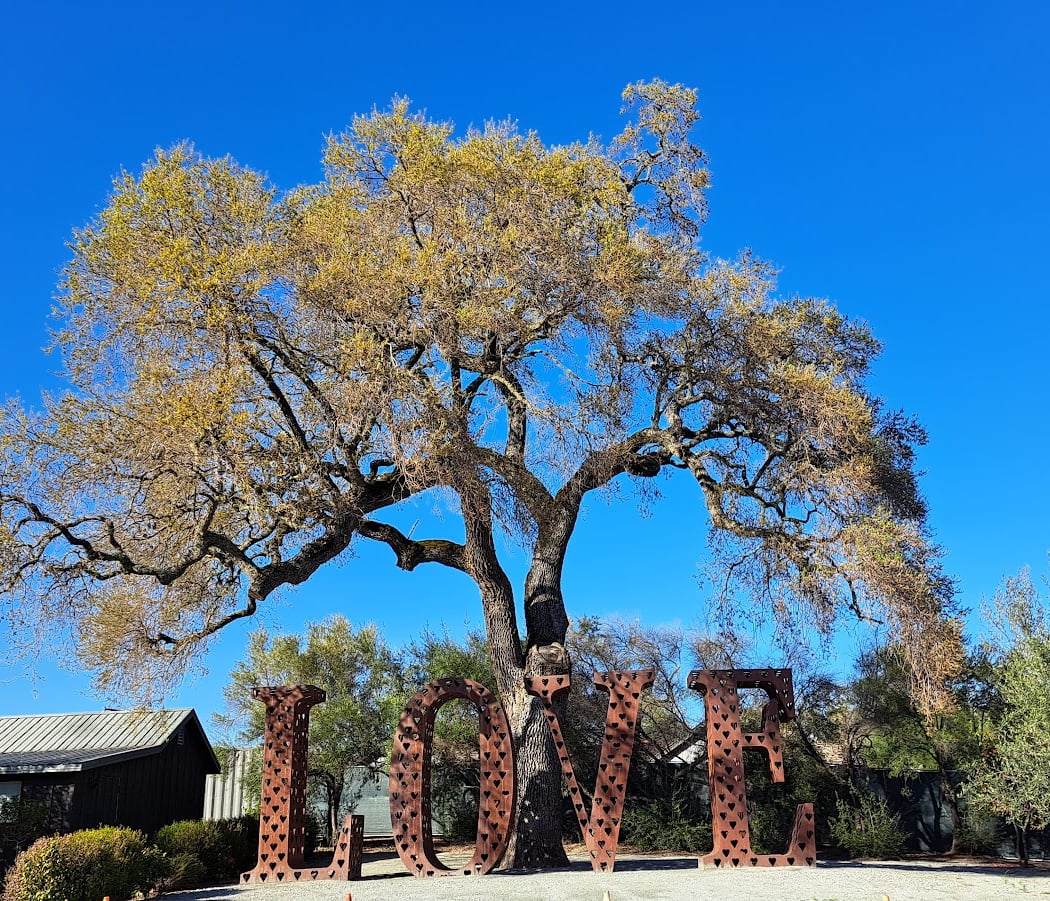 Get Grounded at MOHI Ranch 3