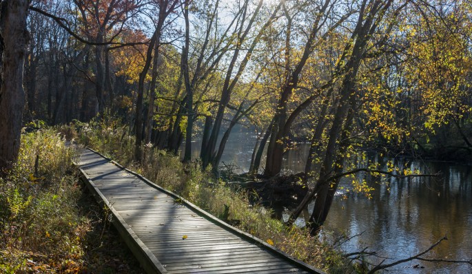 Edward L. Ryerson Conservation Area 1