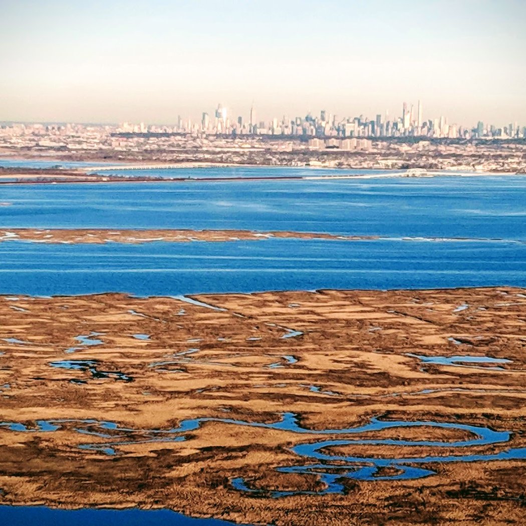 Birding: Winter Birds with NYC Parks 3