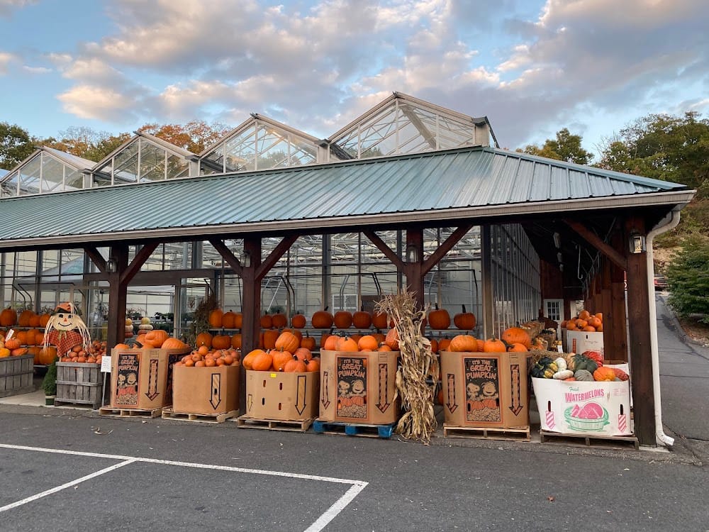 Easy Pickin's Orchard 4