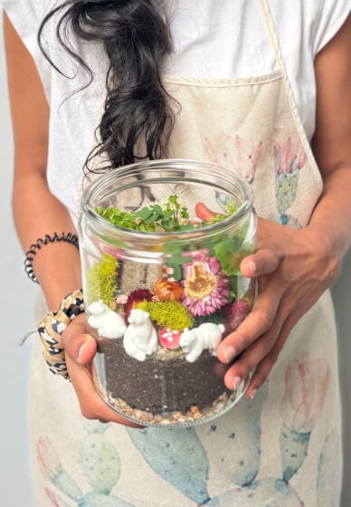 Closed Eco-System Terrarium Class 1