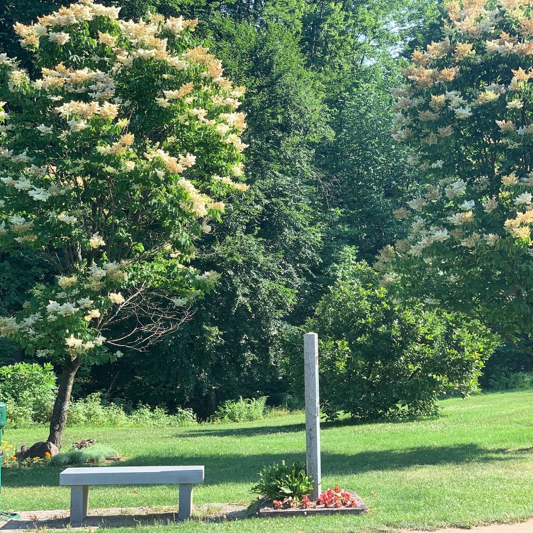 McConnellsville Country Club 2
