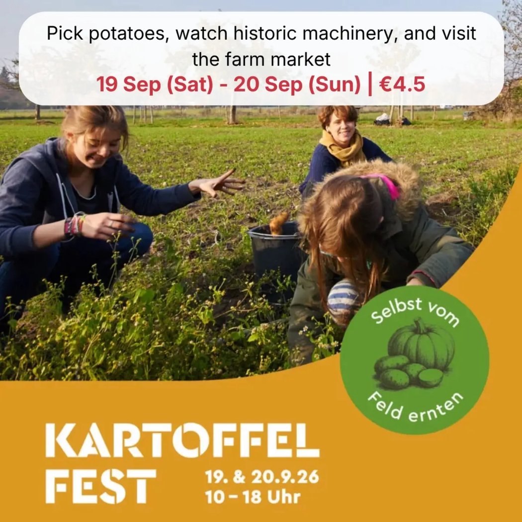 Kartoffelfest 1