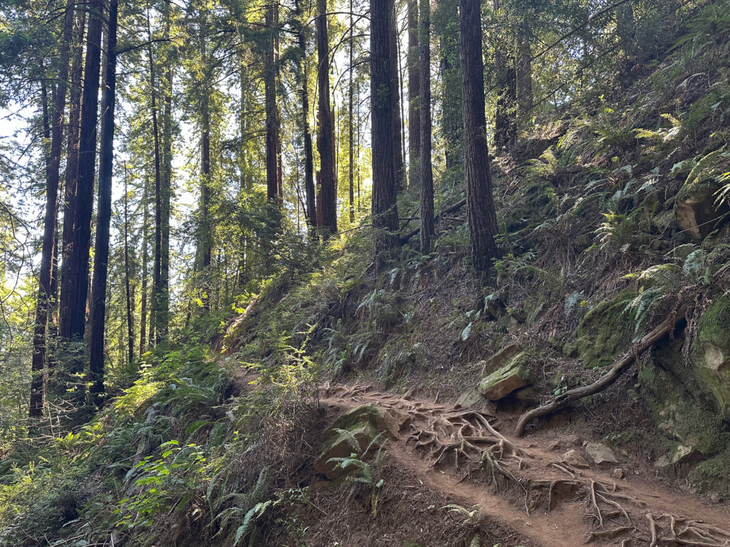 French Trail 3
