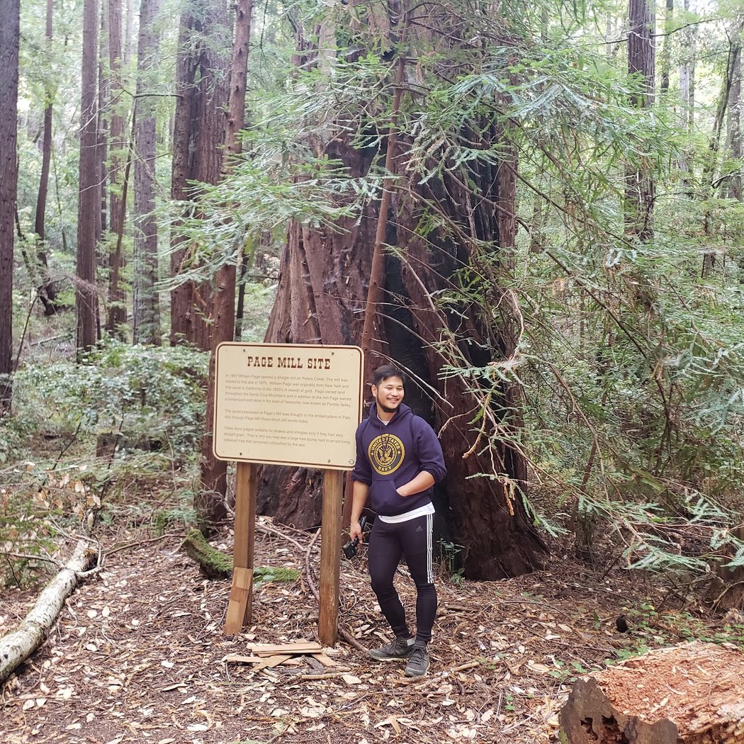 Page Mill Site 4