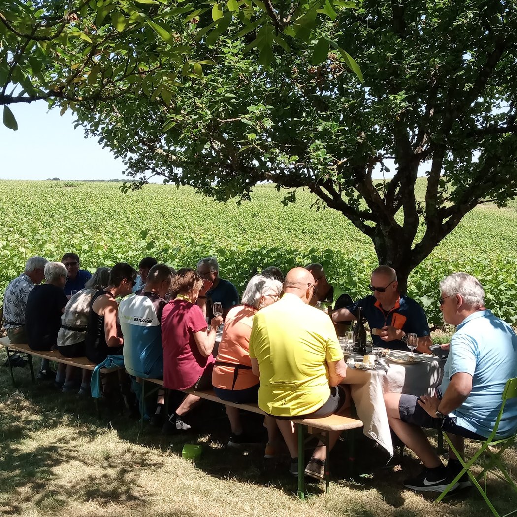 Loire Wine Tours 1