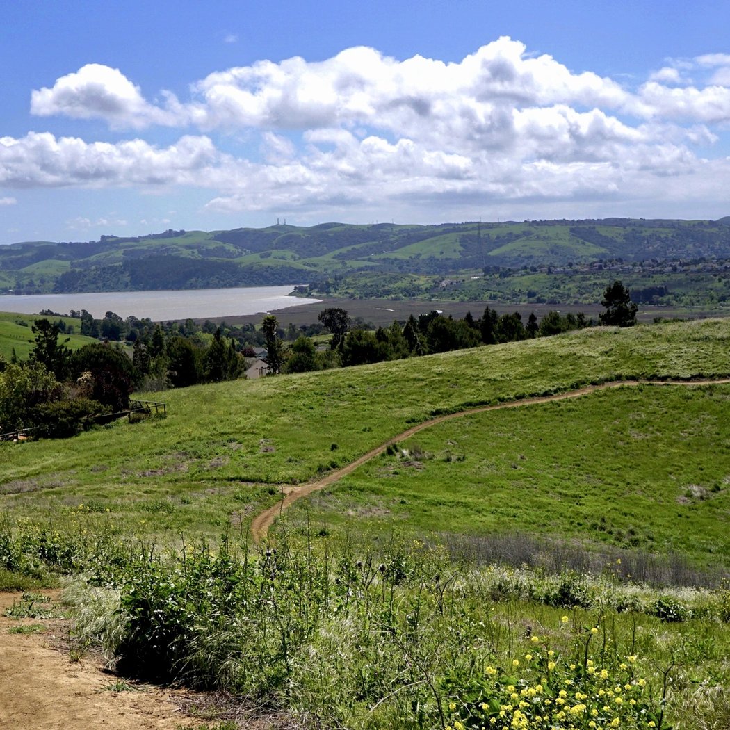Bay Area Ridge Trail 2