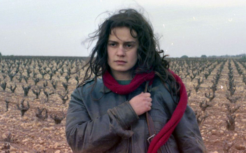 AGNÈS VARDA: A COMPREHENSIVE RETROSPECTIVE 1