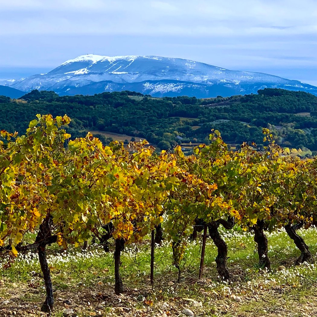 Domaine Serre Besson 3