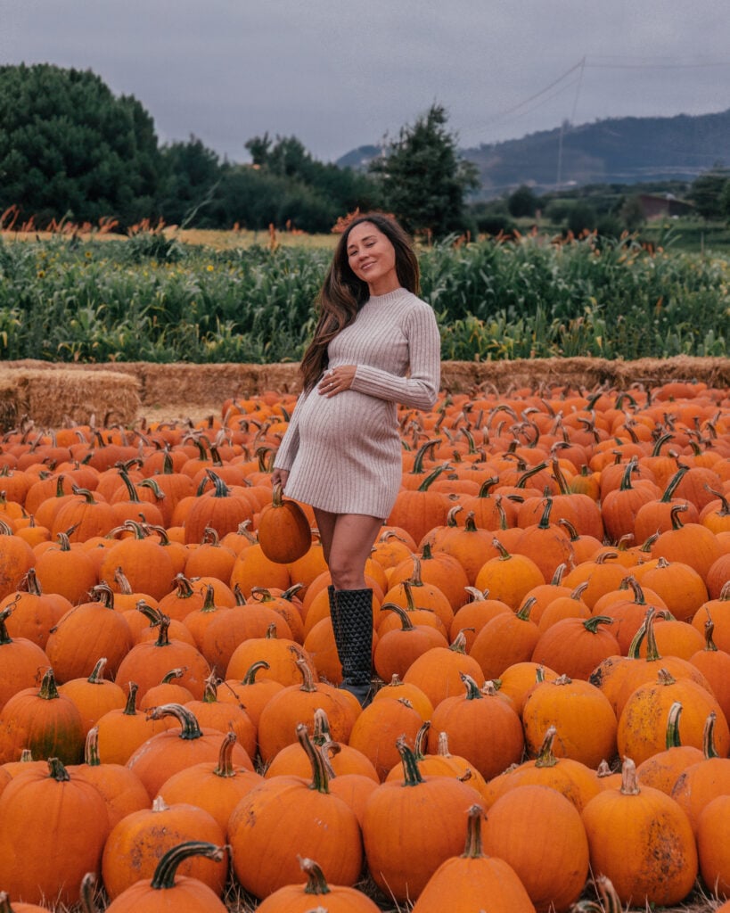 Farmer John's Pumpkin Farm 1