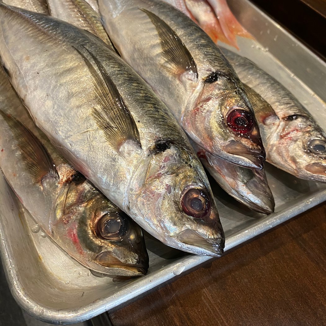 Sushi jin 4