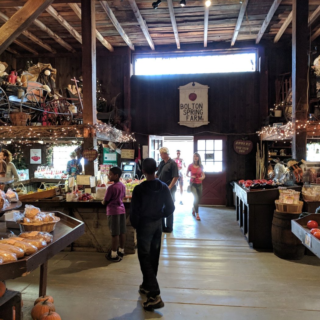 Bolton Spring Farm 1