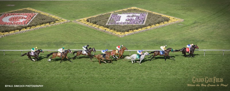Golden Gate Fields 2