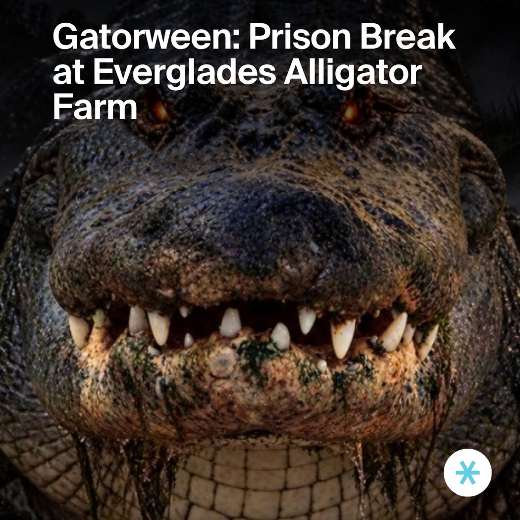 Gatorween Prison Break 1