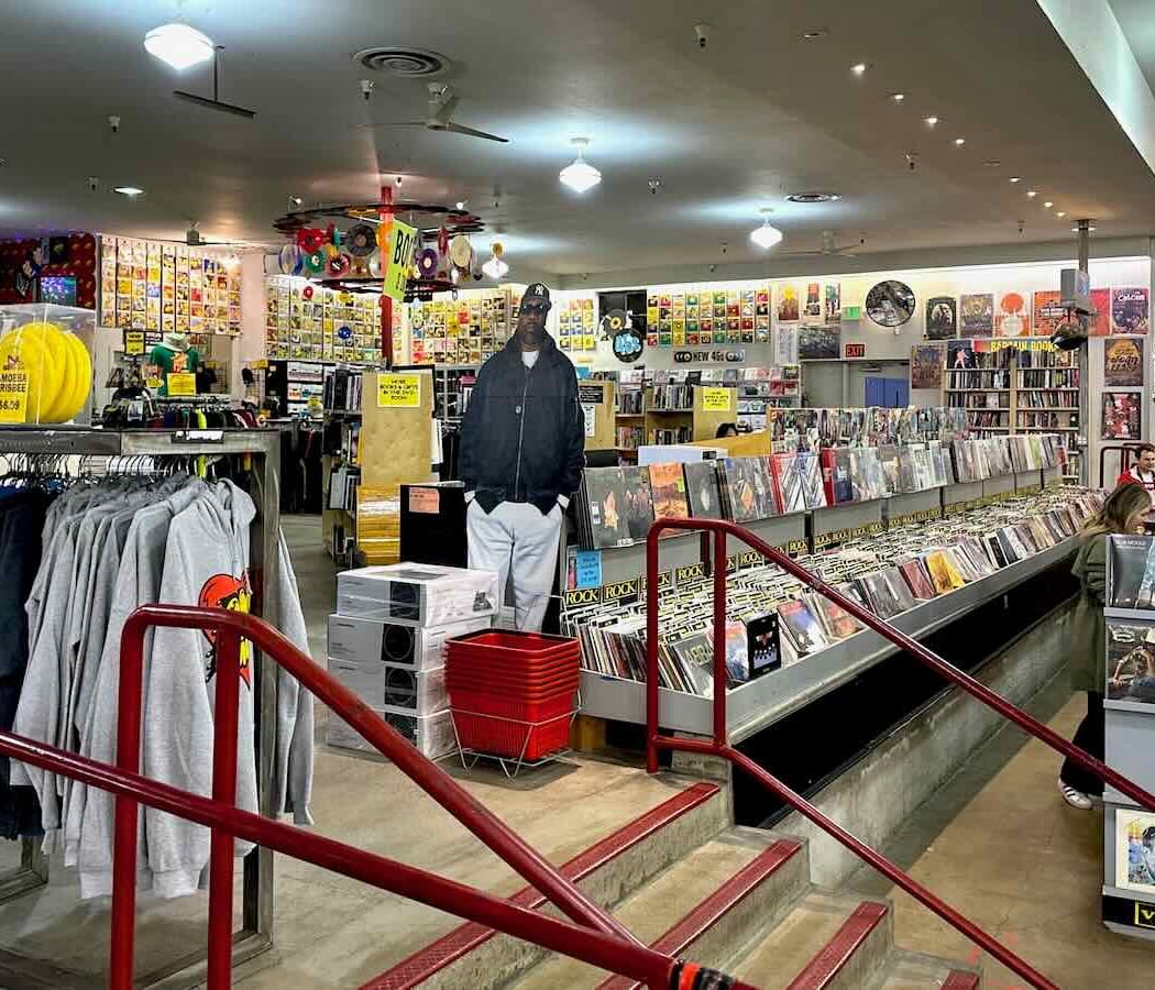 Amoeba 2
