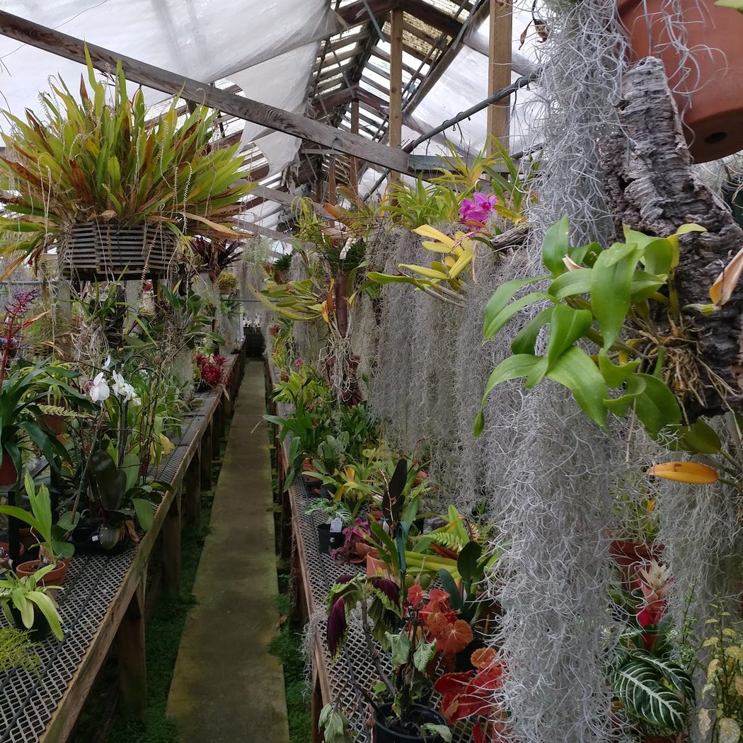 Hanging Gardens 1
