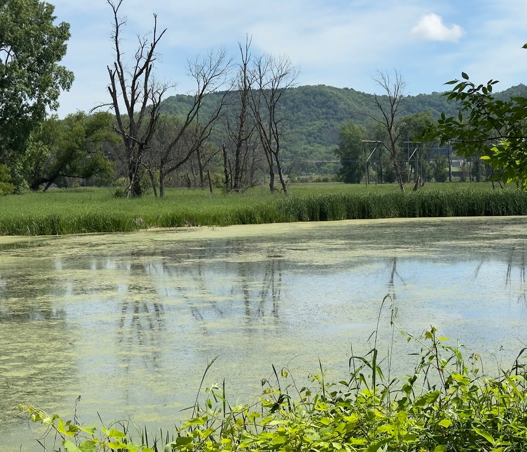 Marsh Loop Trailhead 3