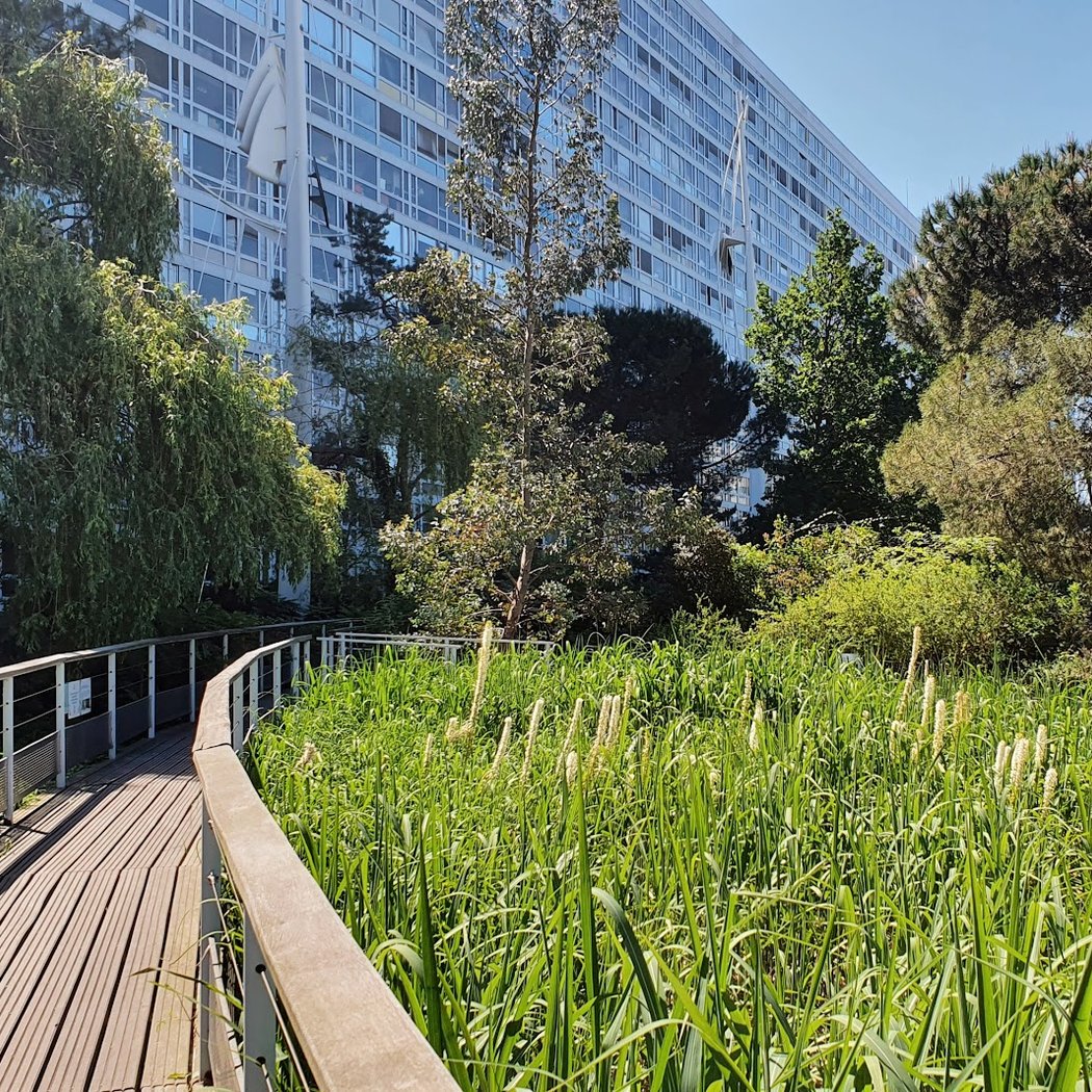 Wander in Jardin Atlantique 3
