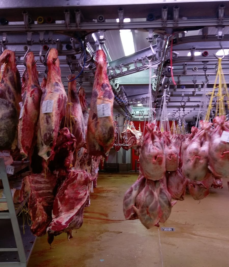 Marché International de Rungis - Grossiste Viande 3