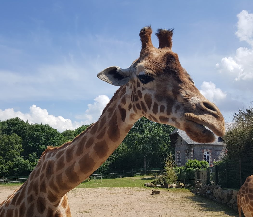 Zoo de Jurques 3