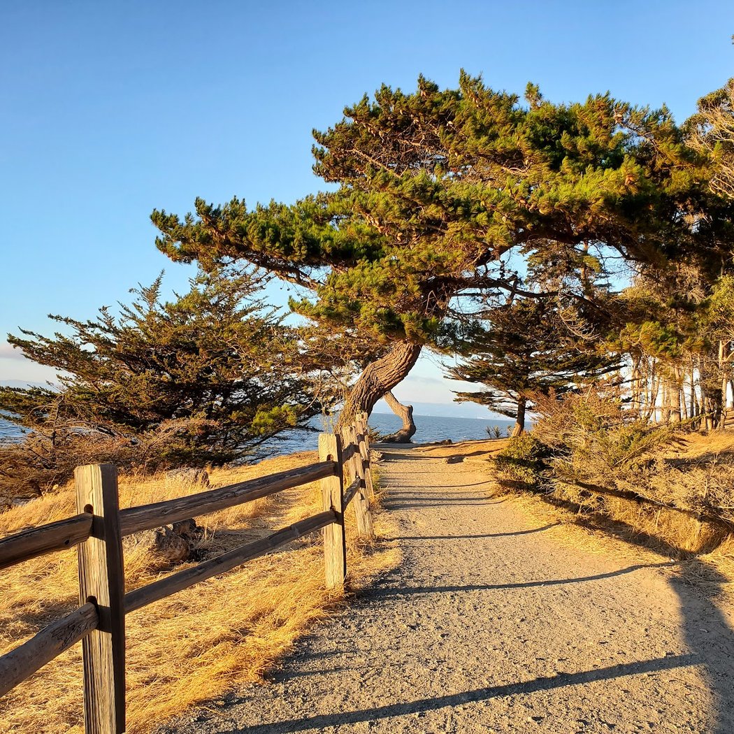 Coyote Point Beach 1