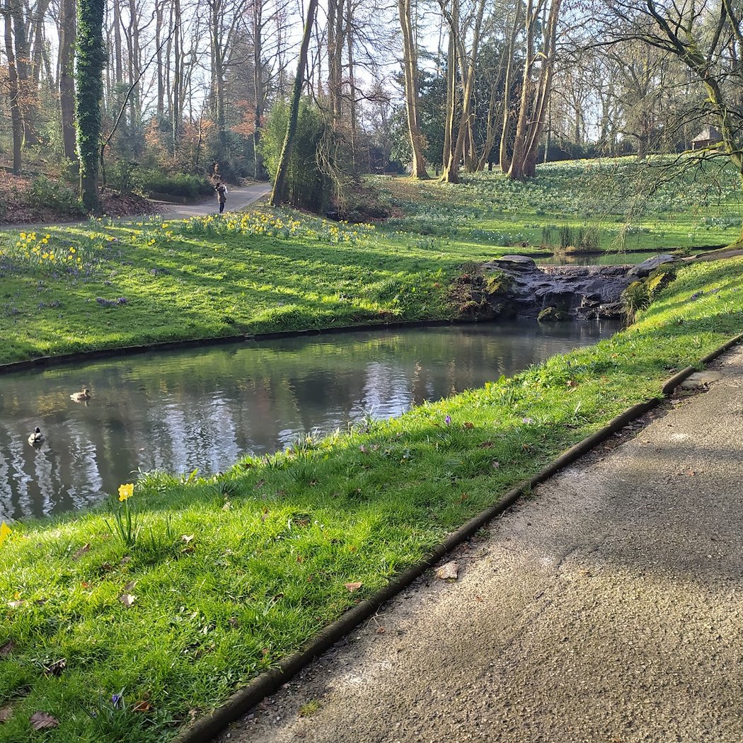 Réveil printanier au Parc de la Gaudinière 3