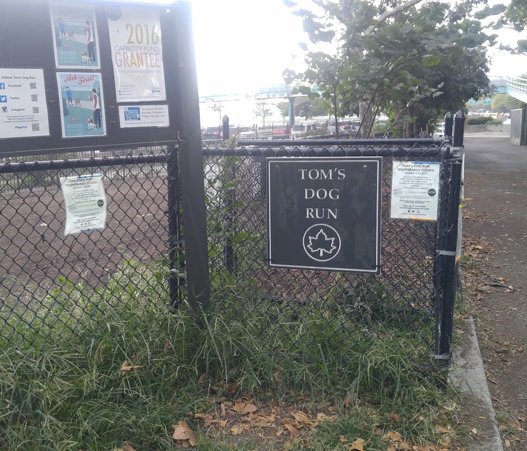 Dog Park 2
