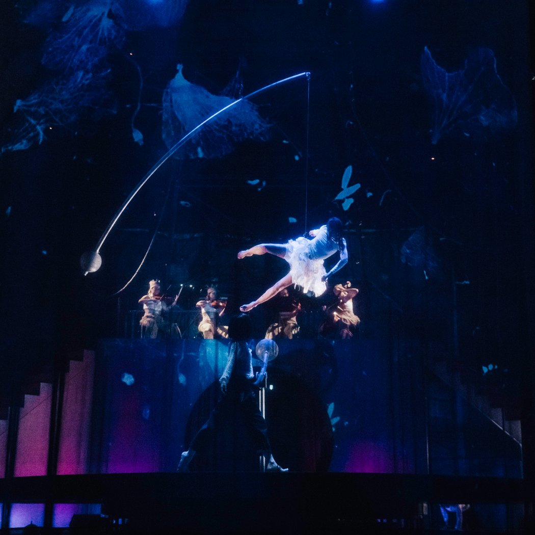 Le Petit Cirque 3