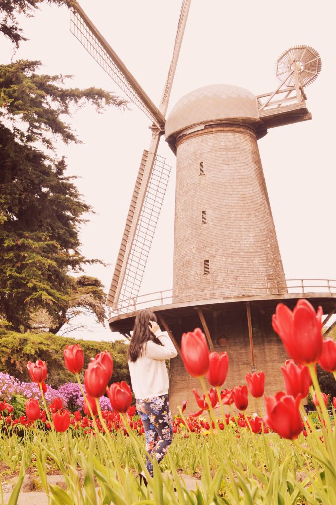 Queen Wilhelmina Garden 4