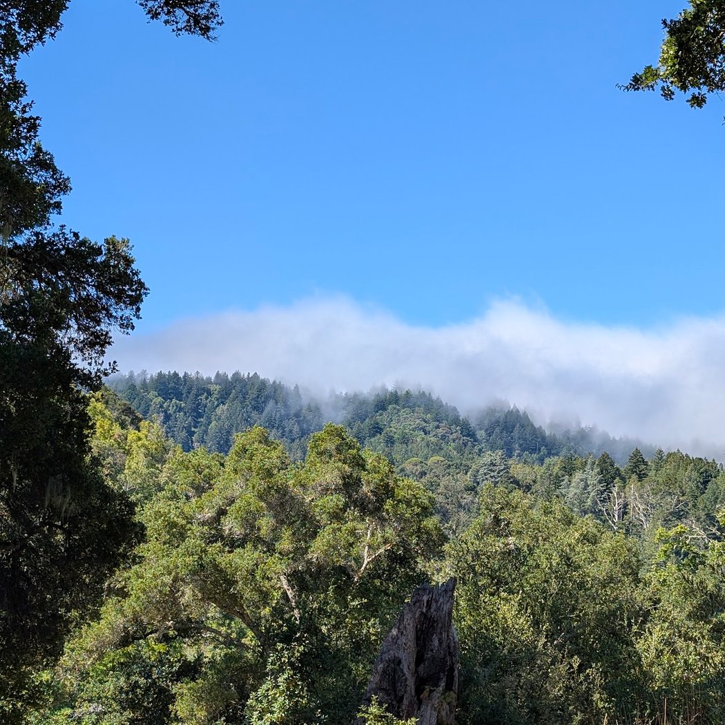 Windy Hill Preserve Public Parking 1