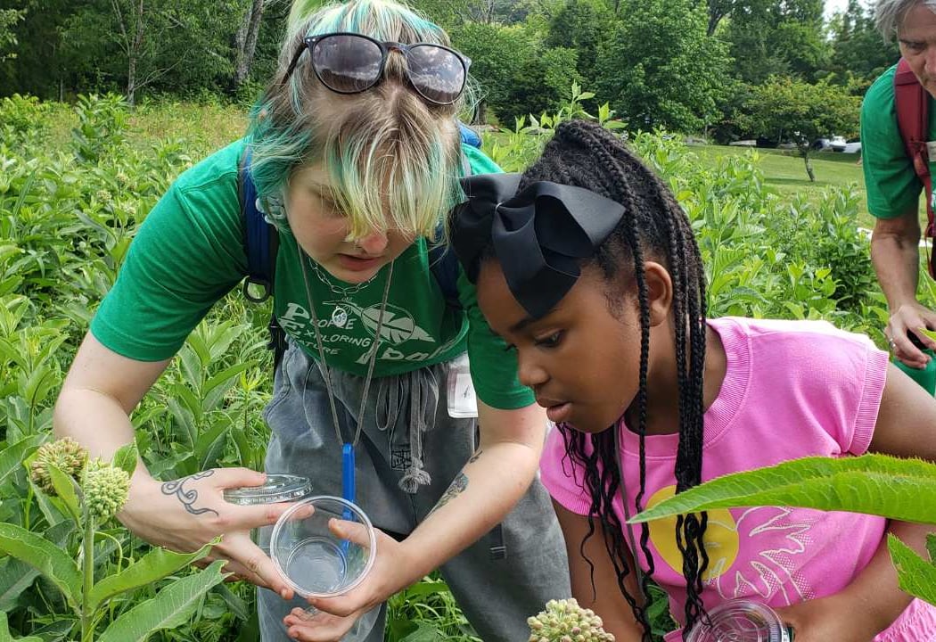 The Curious Naturalist 1