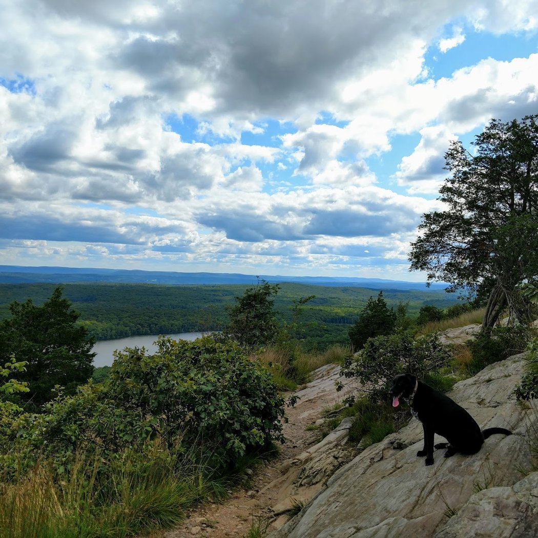 Kittatinny Mountain 1