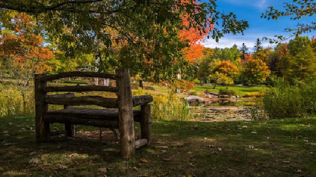 Mountain Top Arboretum 1