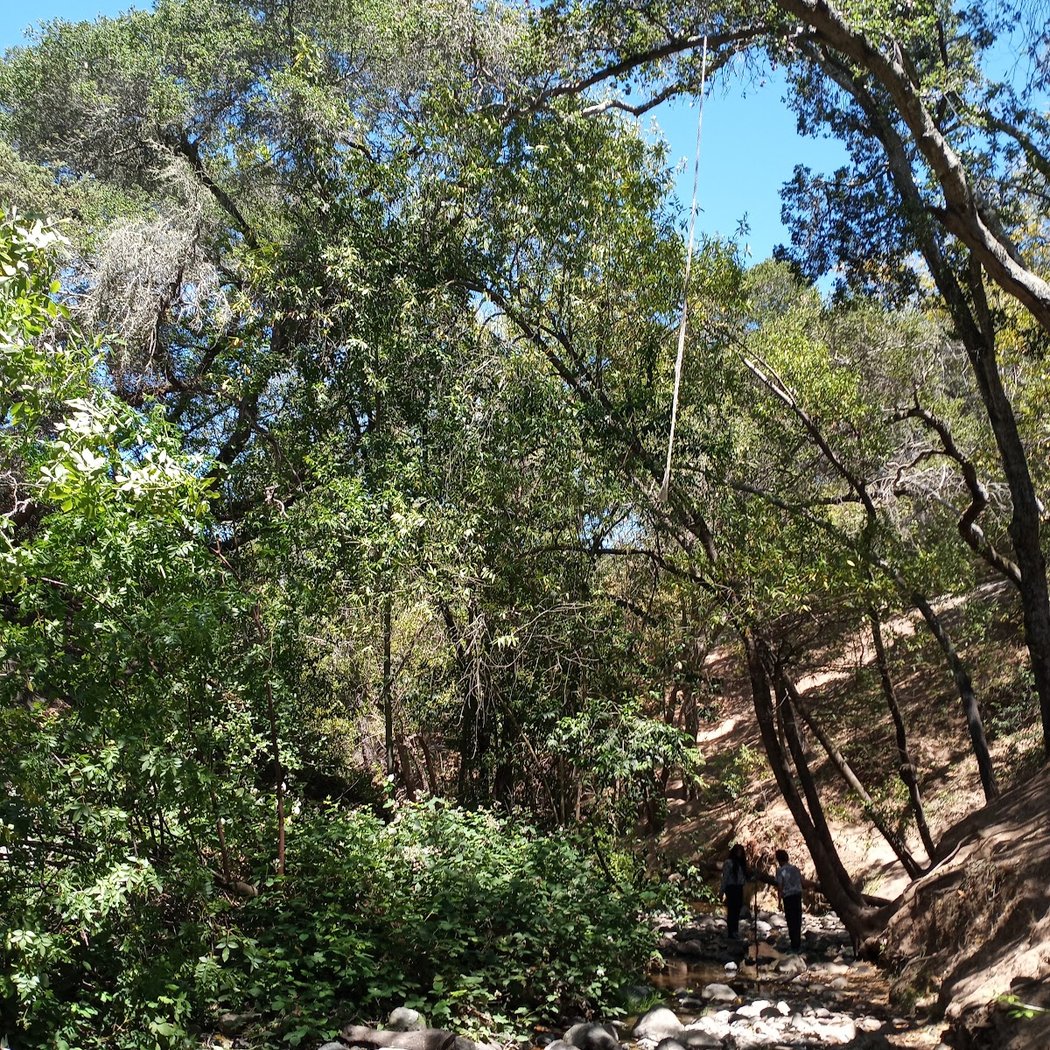 Volunteer Outside with Grassroots Ecology 1