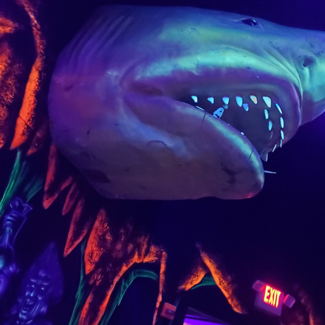 Pirates of Wildwood Mini Golf 2